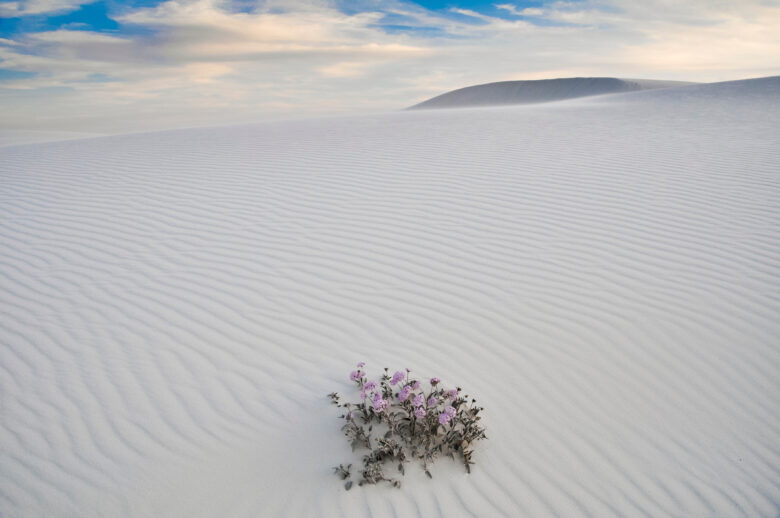 写真映えする絶景　Adobe Stockより