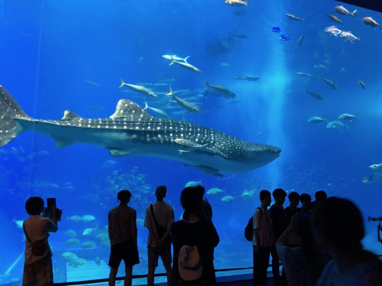 ちゅら海水族館